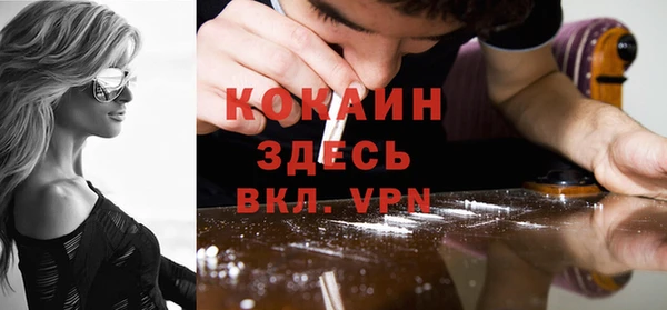 дживик Алексин