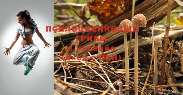 соль ск Майский