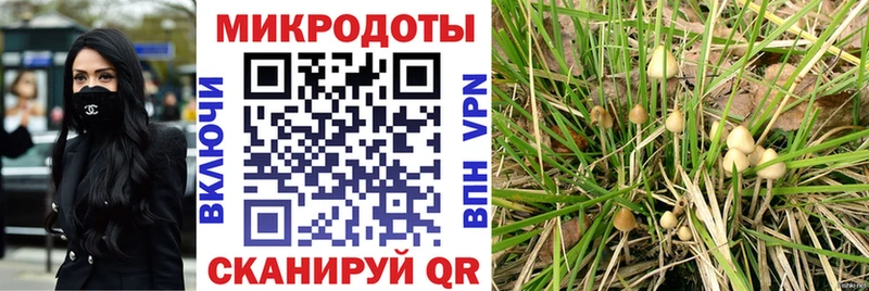 Псилоцибиновые грибы Cubensis  где найти   Чадан 